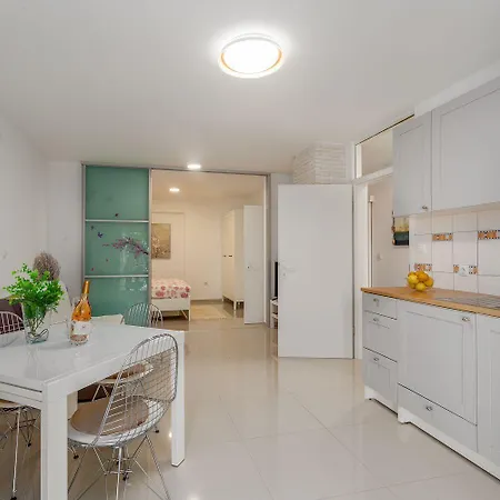 Hundefreundliches Mit Mediterranem Garten - 600 Meter Zum Apartment Porec